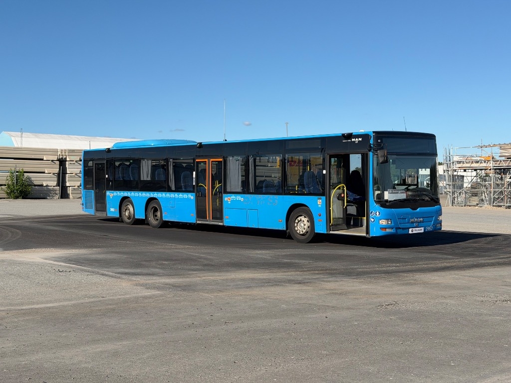 MAN LION´S CITY LLE